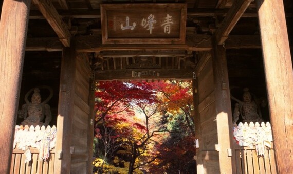 八十二番 根香寺